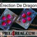 Érection De Dragon 15